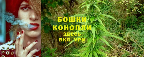 PSILOCYBIN Абдулино