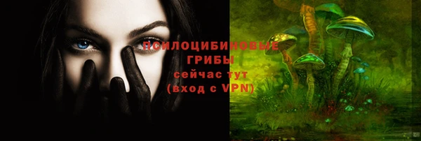 тгк Абаза